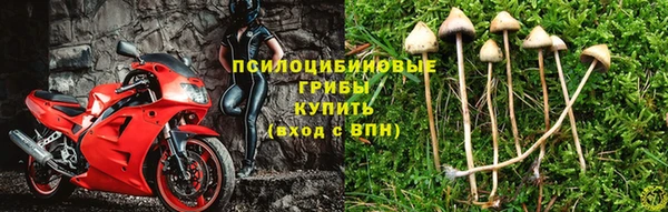 мет Заводоуковск
